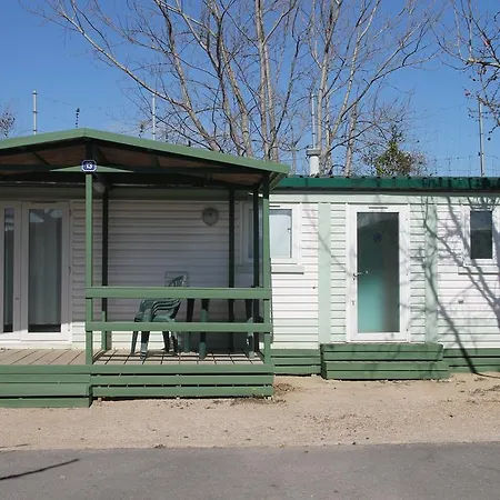 Camping Coll Vert アルファファル