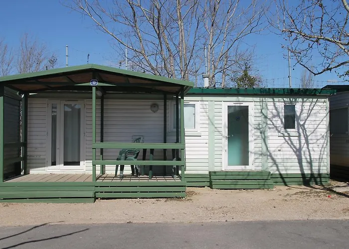 Camping Coll Vert Alfafar