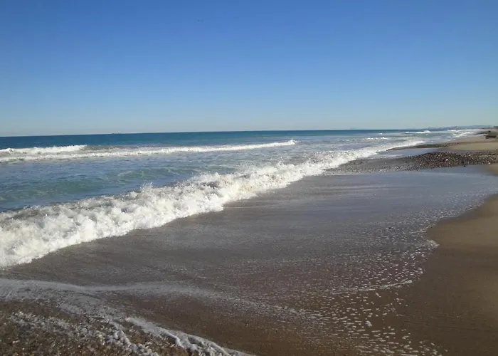 Camping Coll Vert Alfafar