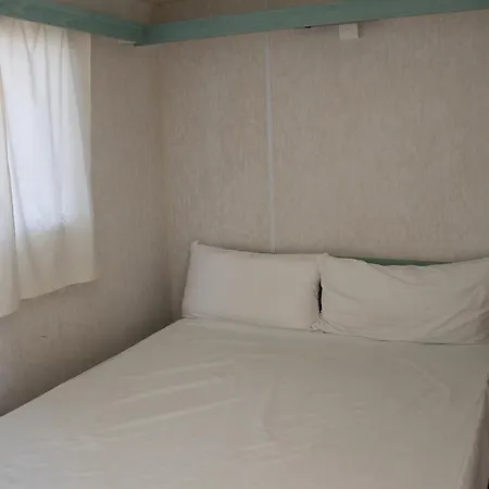 Tatil parkı Camping Coll Vert